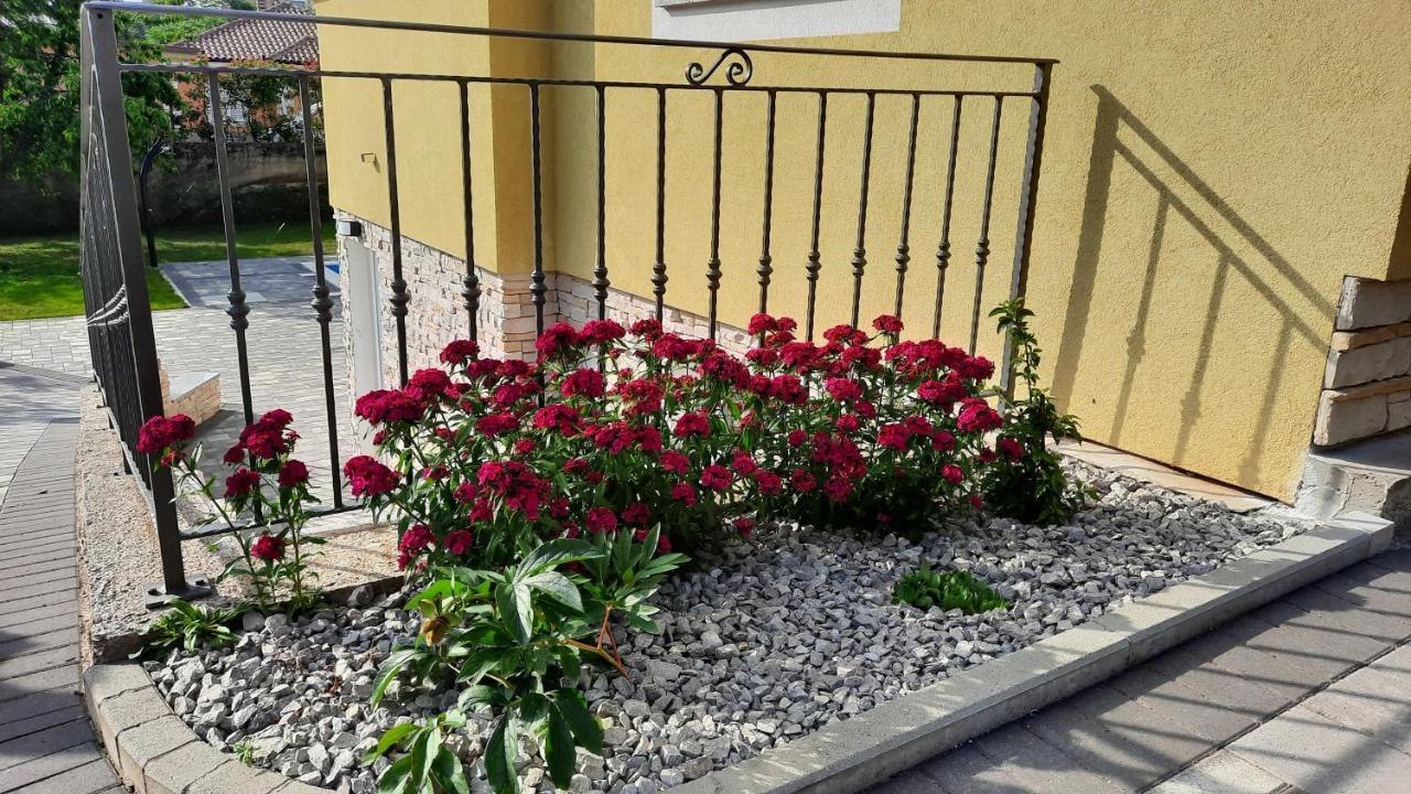 Apartman Ela Donji Rukavac Buitenkant foto
